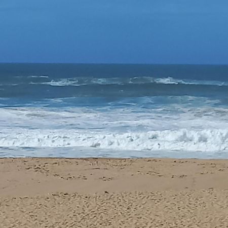 Plage Et Foret Pobral 외부 사진
