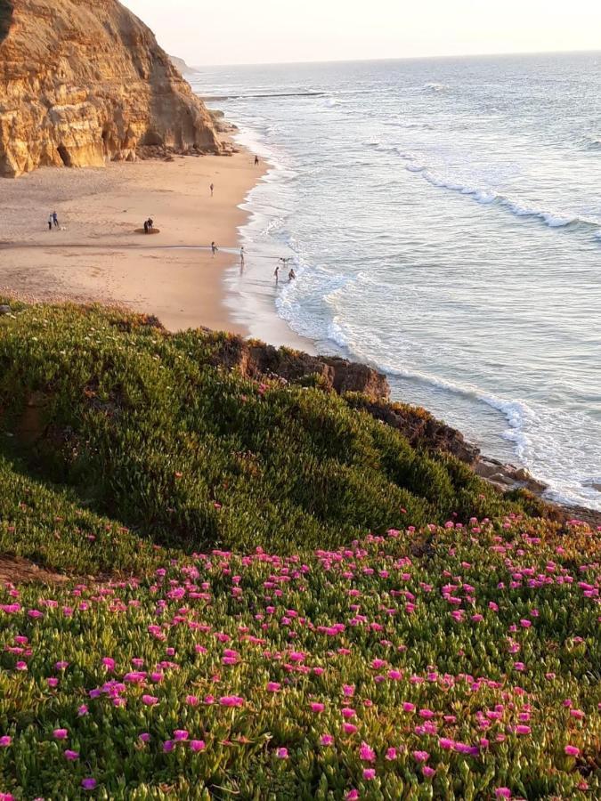 Plage Et Foret Pobral 외부 사진