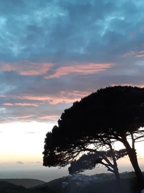 Plage Et Foret Pobral 외부 사진