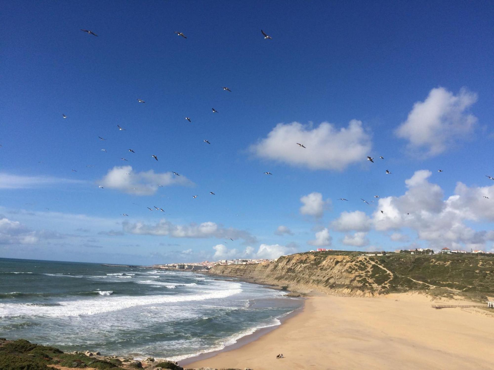 Plage Et Foret Pobral 외부 사진
